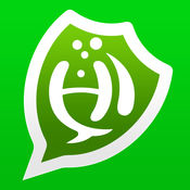 Guardião Esmeralda uma análise profunda do trabalho da Silver Pine